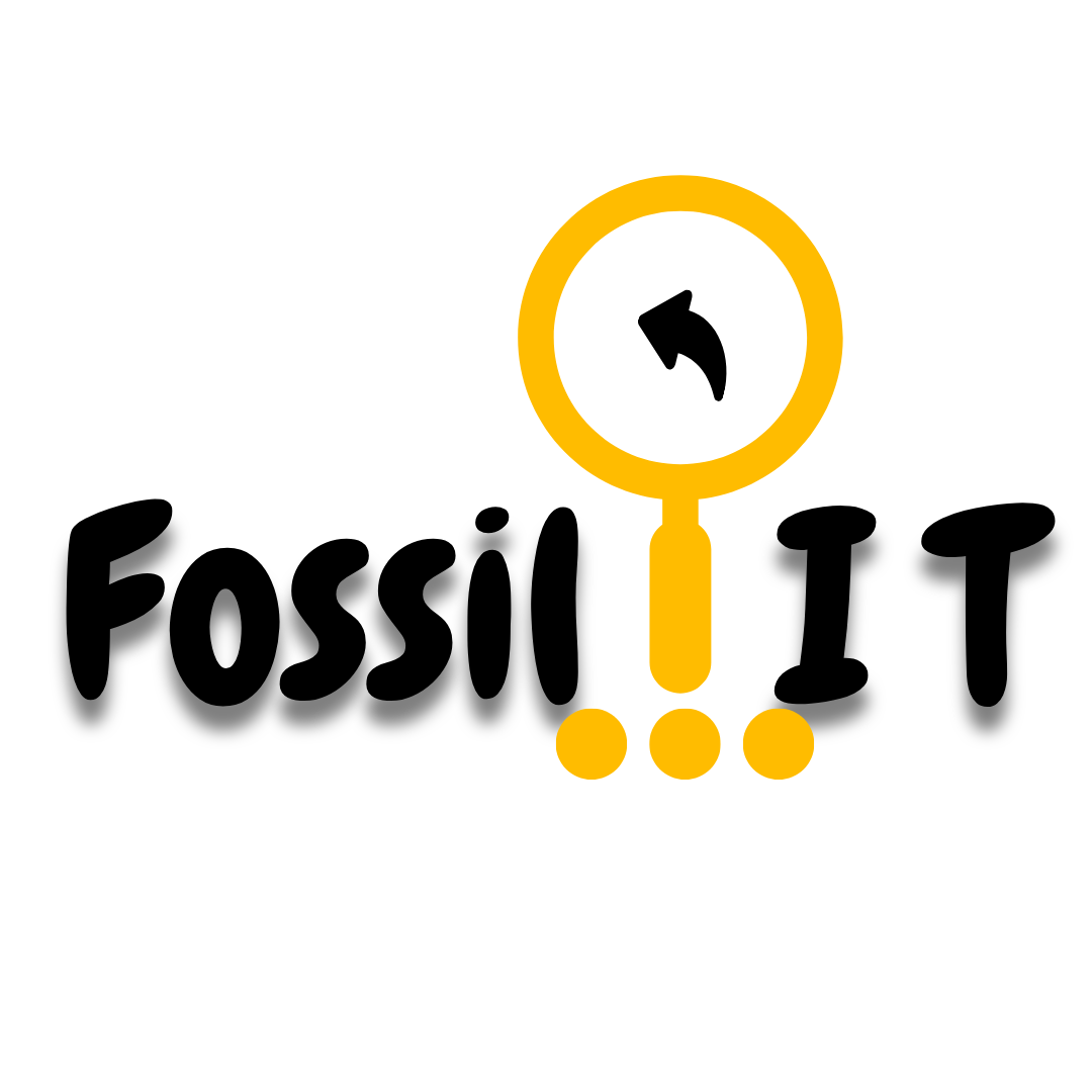 Fossil IT